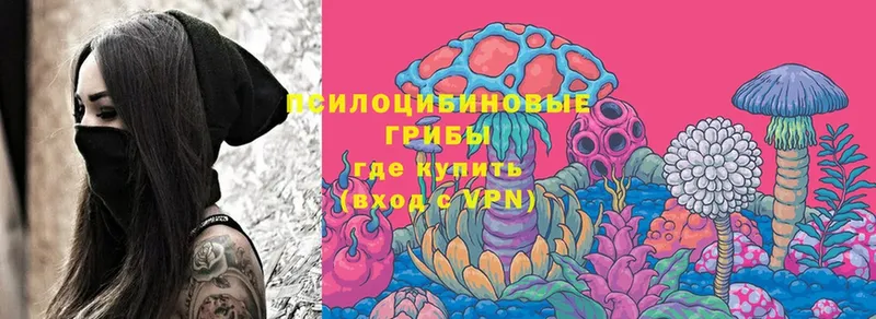 Псилоцибиновые грибы Magic Shrooms  omg ссылки  Горбатов 